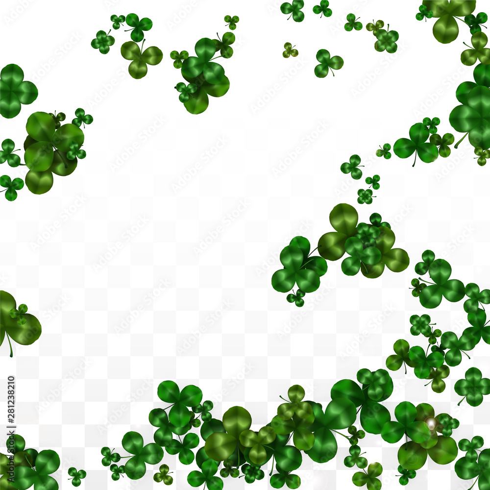 Vector Clover Leaf  Isolated on Transparent Background with Space for Text. St. Patrick's Day Illustration. Ireland's Lucky Shamrock Poster. Invintation for Concert in Pub. Top View. Success Symbols.