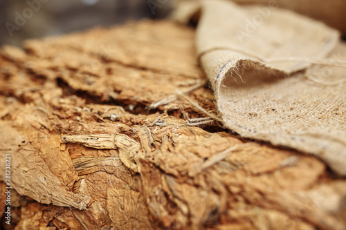 Photo of dried tobacco leaves in cloth sack for cigarette industry.