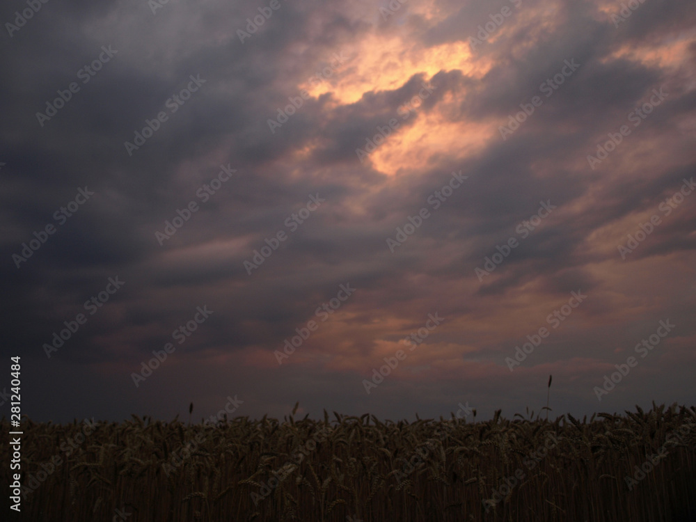 a colorful round storm cloud over a cereal field