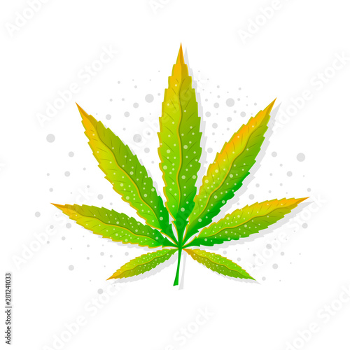 Marijuana green hemp .Cannabis sativa or Cannabis indica leaf on white background.Glat marijuana leaf logo design.