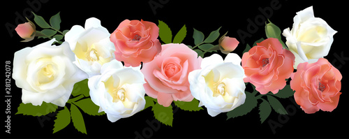 nine roses blooms stripe is...