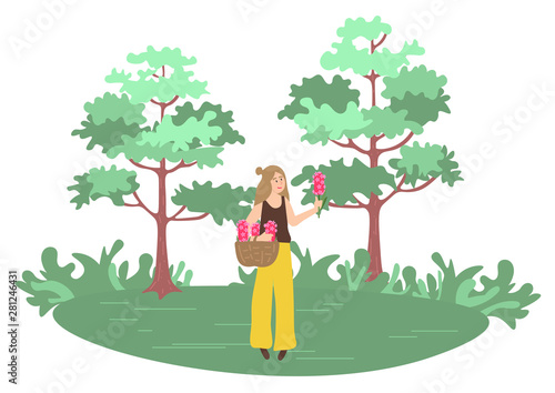 Woman picking up flowers in forest with green trees. Vector female character outdoors with basket full of summer and spring blossoms  person in park