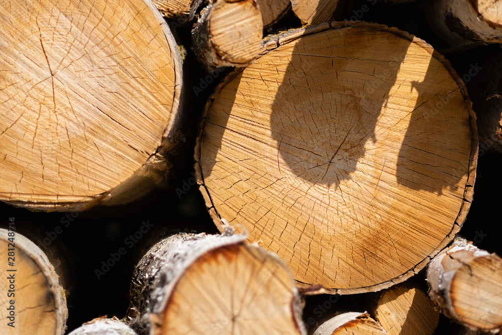 Naklejka premium logs of wood