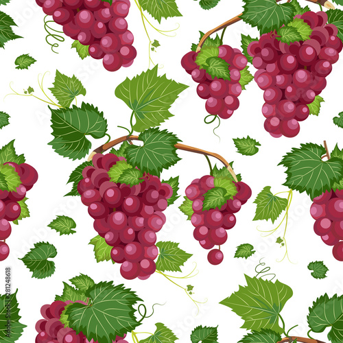 Grape vine seamless pattern and leaves on white background  Fresh organic food  Red grape bunch pattern background  Fruit vector illustration.