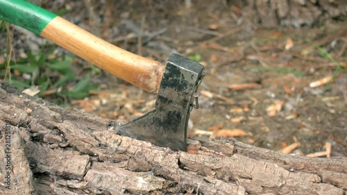 The axe sticks into the felled tree. The axe has a green handle, close-up video. The view from the side.