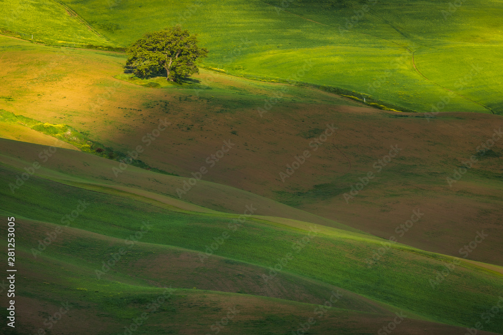 Obraz premium Impressive autumn landscape,view with cypresses Tuscany,Italy