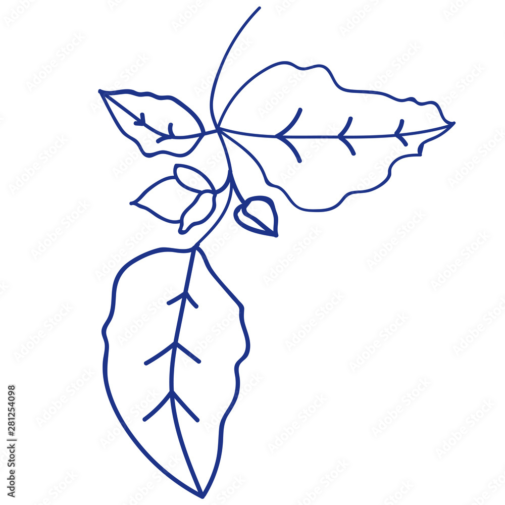 Blue mono line art of foliage on the white isolated background.