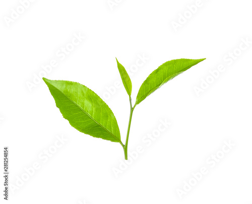 Green tea leaf isolated on white © sangsiripech