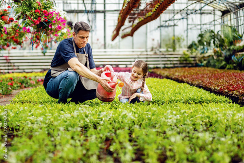 Slika na platnu Happy small girl and her father watering flowers in a greenhouse.