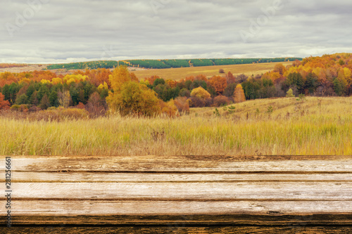 Fototapeta Naklejka Na Ścianę i Meble -  Empty wooden table with blurred picturesque autumn landscape of panoramic view from hill to lowland with field and grove in cloudy day. Mock up for display or montage products