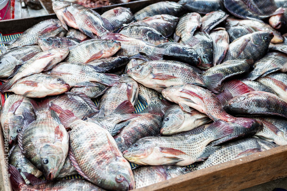 Fish market in Thailand, dead Nile Tilapia Fish for sale at the outdoor market, fresh fish