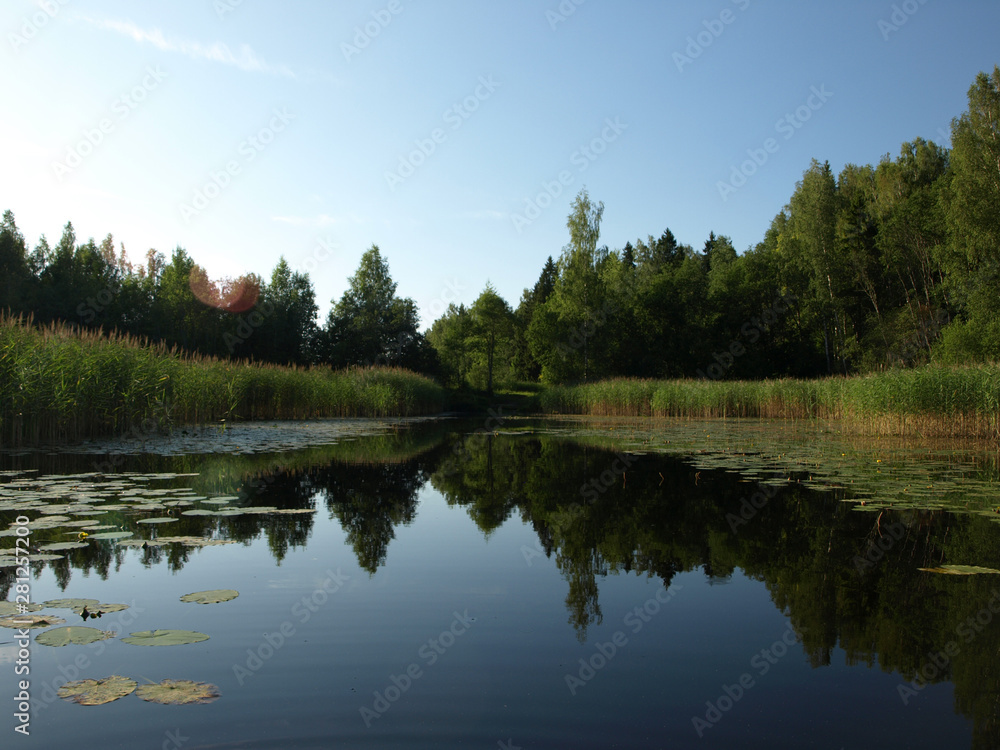 Fototapeta premium beautiful summer landscape with calm lake, reflections of different trees, blue sky, calm water, Latvia