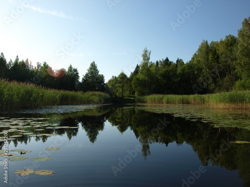 beautiful summer landscape with calm lake, reflections of different trees, blue sky, calm water, Latvia