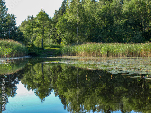 beautiful summer landscape with calm lake, reflections of different trees, blue sky, calm water, Latvia