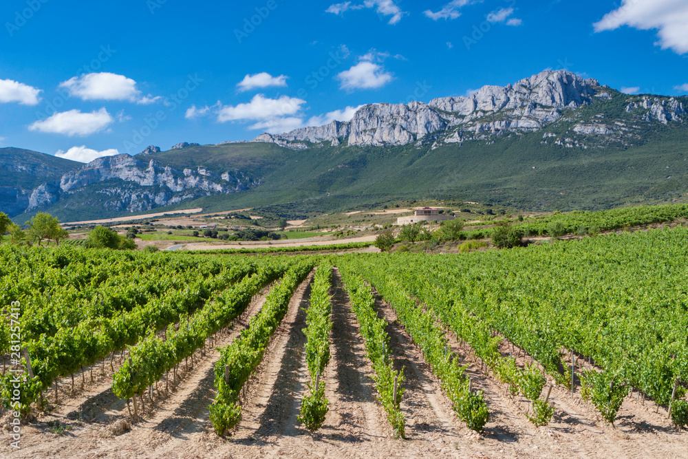 Vineyards and mountains in Rioja Alavesa, Spain
