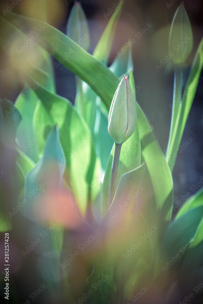 abstract background