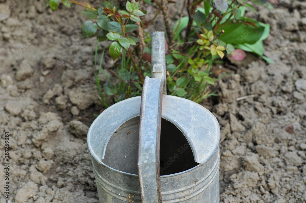 Metal bucket for watering flowers in the garden Metal bucket for watering flowers in the garden