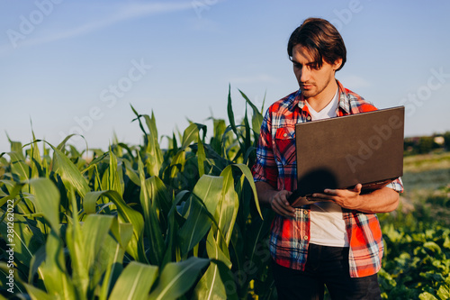 Farmer standing in a field holding open  laptop and taking a control of yield photo