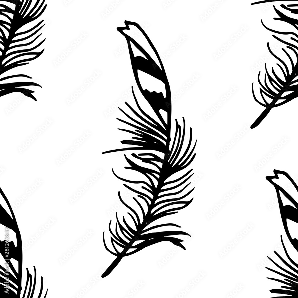 Fototapeta feather seamless pattern hand drawn sketch
