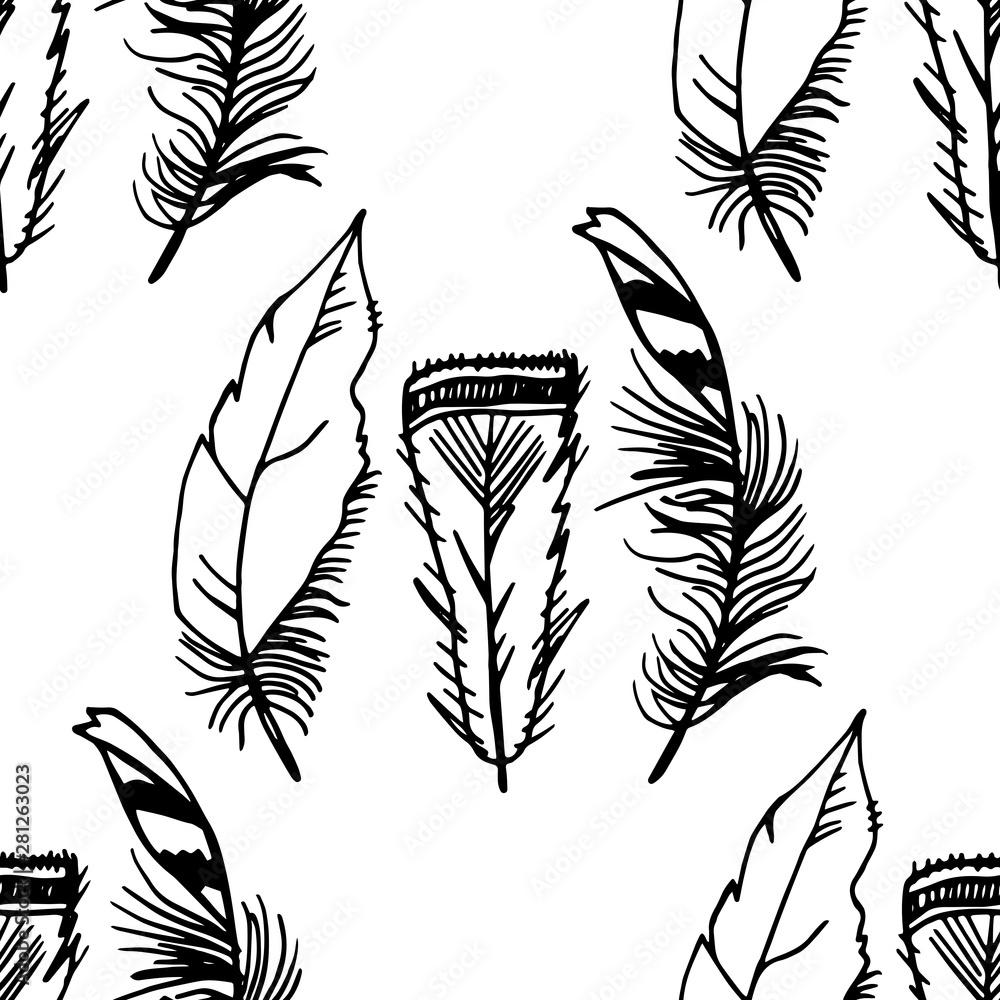 Obraz premium Mockingjay feather seamless pattern hand drawn sketch