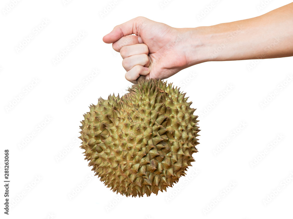 King of Fruits, Durian is a popular tropical fruit in Thailand. King of Fruits, Durian is a popular tropical fruit in Thailand.
