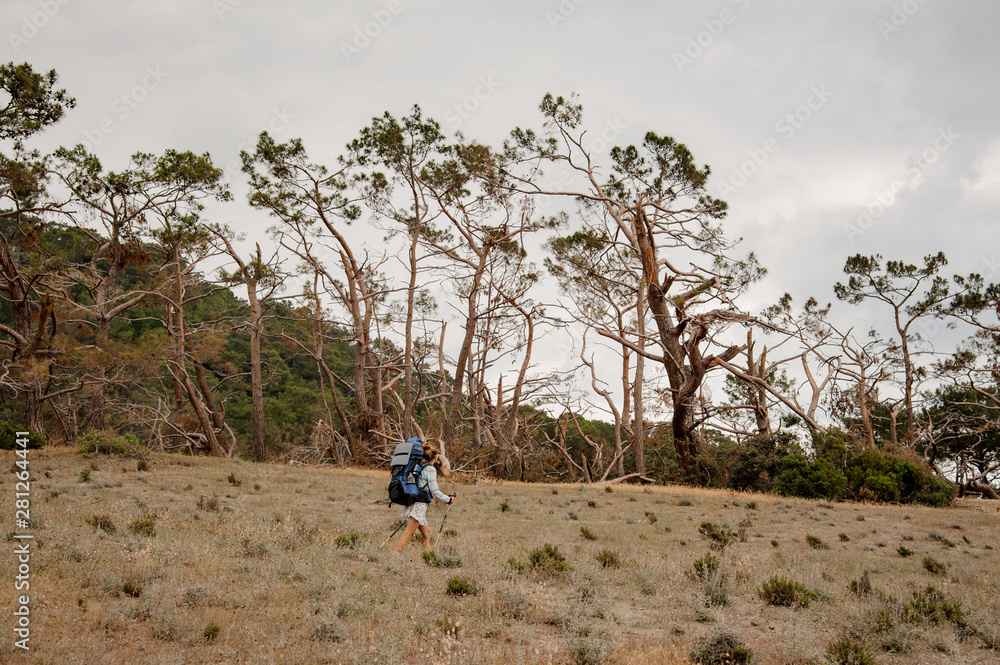 Woman with backpack and hiking sticks walking through the dry field