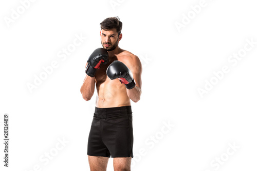 muscular Boxer looking at camera Isolated On White with copy space