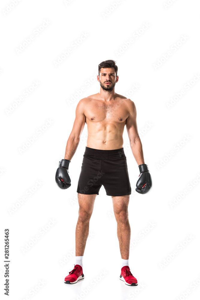 shirtless Boxer looking at camera Isolated On White shirtless Boxer looking at camera Isolated On White