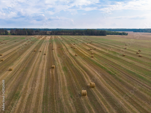 Fields. They harvest wheat and rye, collected in stacks. Photo from quadcopter. Autumn harvest. The concept of modern agriculture. Sky view.
