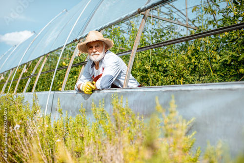 Portrait of a well-dressed agronomist looking out the greenhouse of a small agricultural farm. Concept of a small agribusiness and work at retirement age © rh2010