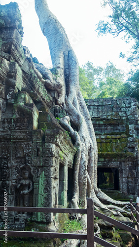 Templo de Ta Prohm en Angkor, Siem Reap, Camboya noviembre 2017 photo
