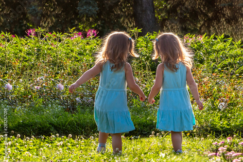 Photography Beautiful two little girls sisters with long blonde hair in identical blue dresses look alike in the summer garden among flowers