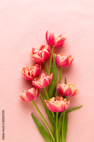 Spring flowers tulips on pa...