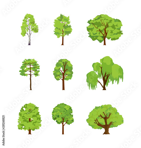 Cartoon trees differents birch poplar elm chestnut willow maple linden. Crown of the tree leaf for game design or landscape nature vector 