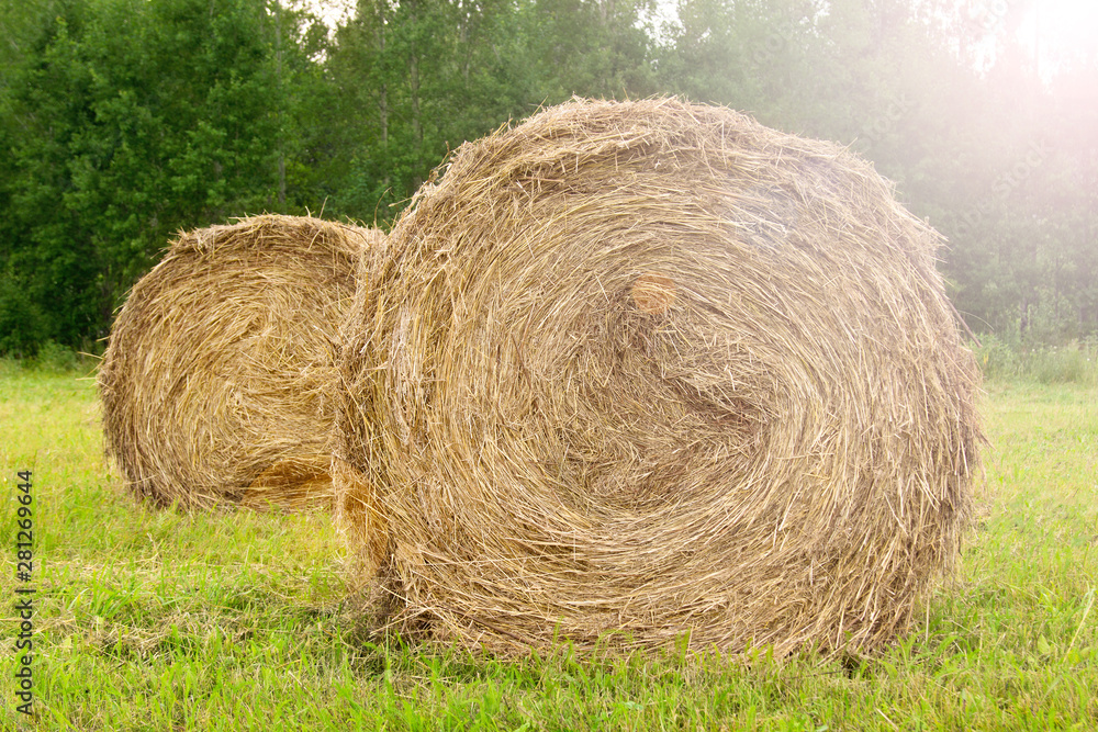 Hay close up. Haystacks. Round billets of hay in nature. Hay close up. Haystacks. Round billets of hay in nature.