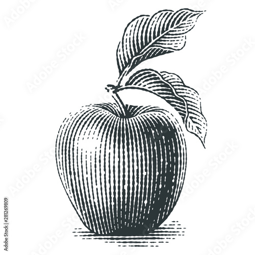 Apple. Hand drawn engraving style illustrations.