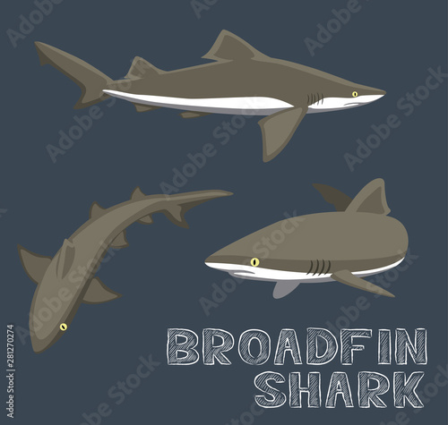 Broadfin Shark Cartoon Vector Illustration photo