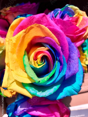 Psychedelic Rose 