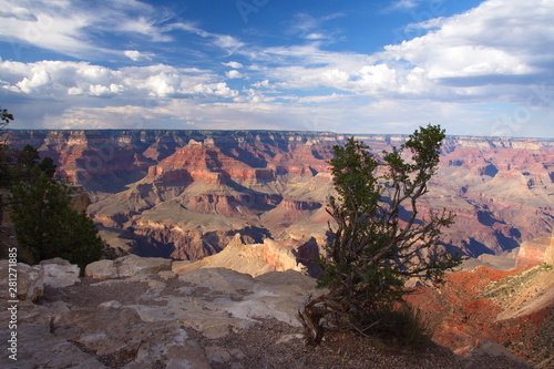 Grand Canyon View