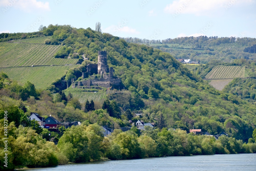 Castle Fursenberg Ruins as seen from Rhine River