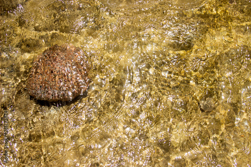 Summer background of hot sand with sea or ocean wave bubbles with copy space for card or advertisement at dawn or sunset
