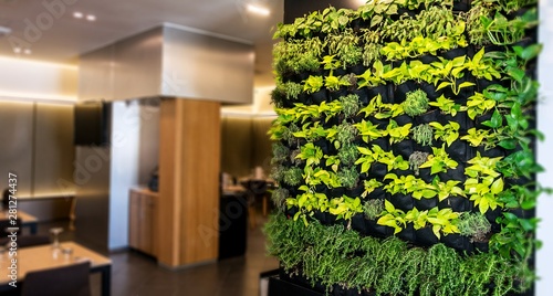 Wallpaper Mural Living green wall, vertical garden indoors  in modern restaurant. Torontodigital.ca