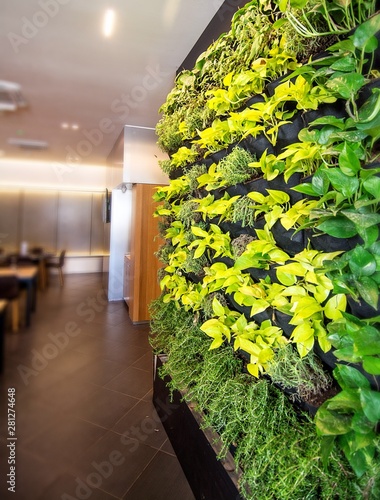Wallpaper Mural Living green wall, vertical garden indoors  in modern restaurant. Torontodigital.ca