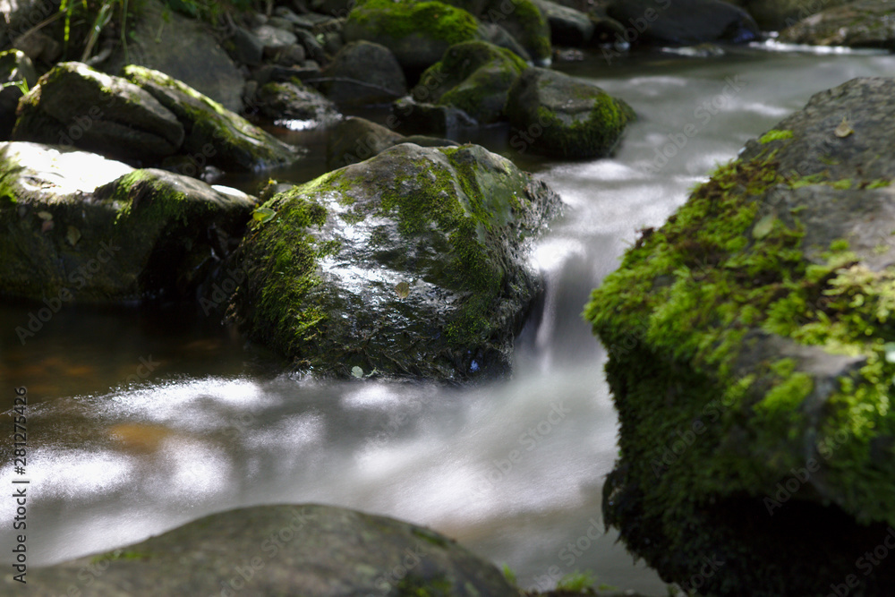 Wild River in the woods of the Ravennaschlucht Wild River in the woods of the Ravennaschlucht