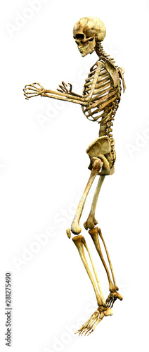 3D Rendering Human Skeleton on White