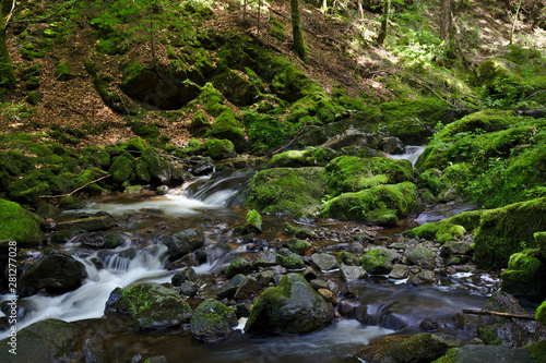 Wild river in the Ravennaschlucht in summer