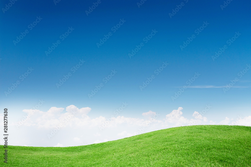Fototapeta premium Green Grass Texture with Blang Copyspace Against Blue Sky