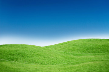 Green Grass Texture with Blang Copyspace Against Blue Sky