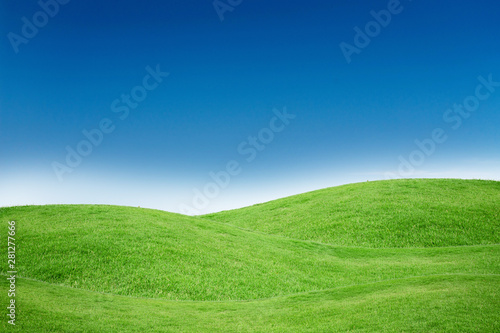 Green Grass Texture with Blang Copyspace Against Blue Sky © charnsitr