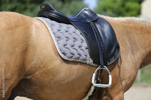 Closeup of a leather saddle for equestrian sport on horseback